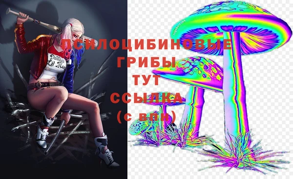 герыч Щигры