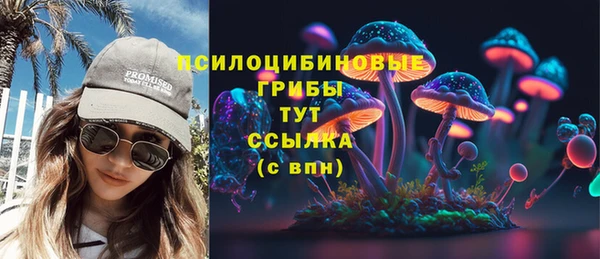 метадон Шали