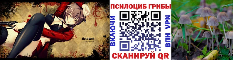 Купить закладки  Сальск  Галлюциногенные грибы GOLDEN TEACHER 